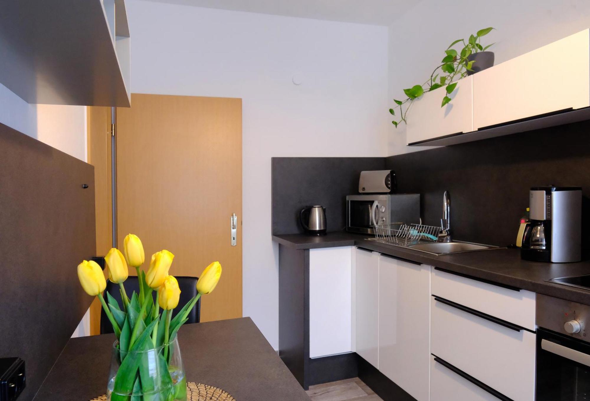 Appartement Urlaub Nicht Nur Fuer Monteure "G1" à Gera Extérieur photo